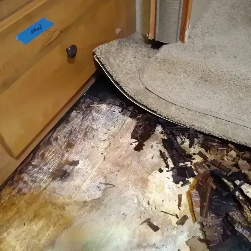 Wood Floor Water Damage in Marietta-Alderwood, WA